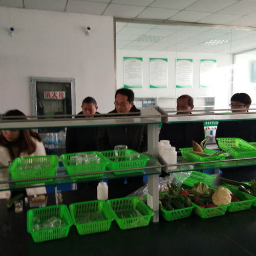 集团调研淮安明远农副产品批发市场，助力农产品销售畅通