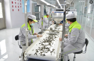 绥阳第五届黑木耳采摘节盛装启幕 以节庆促产业，以采摘带销售