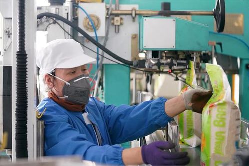 共克时艰 疫情冲击下粮油市场的波动与农产品销售新局