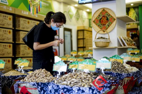 一条电商路铺就振兴梦 昆明禄劝拓宽特色农产品销售渠道实录