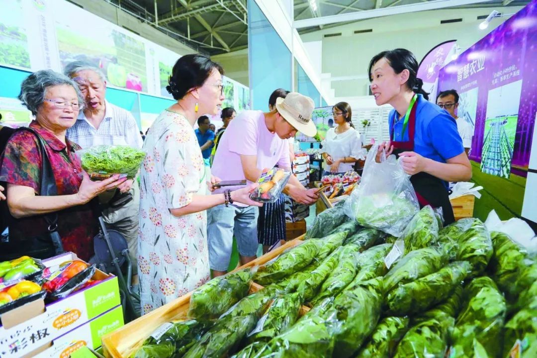 农博会 优质农产品展销与美丽庭院建设成果的双重盛宴