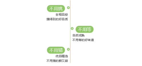陕西猕猴桃 从田间到米其林餐桌的“绿宝石”