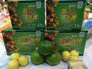 韶关农产品推介会 助力优质农产品走向全国