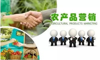 破解农产品营销难题 口碑营销的破局之道