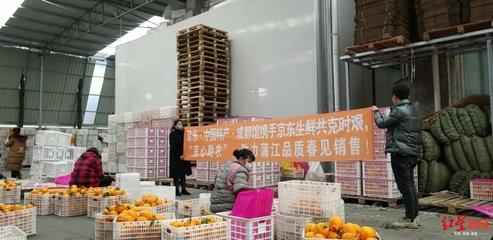 京东在成都首次引入无人配送车，助力防疫保供与农产品销售